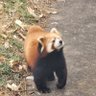 QwQ_courier's profile picture
