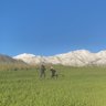 chad johnson profil fotoğrafı