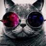 rael silva's profile picture