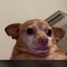 Profilbild von 1 Rizz niggs