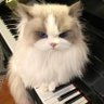 Profilbild von Rui