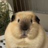 Marsssss profil fotoğrafı