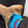 せん 的头像