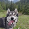 Profilbild von Horus