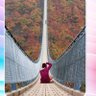 Majid profil fotoğrafı