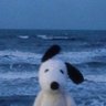 Timron's profile picture