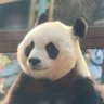 白天(互fo)'s profile picture