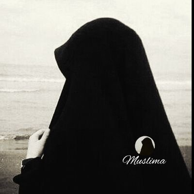 TY7TY's profile picture