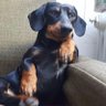 Profilbild von victorx