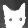 Profilbild von k