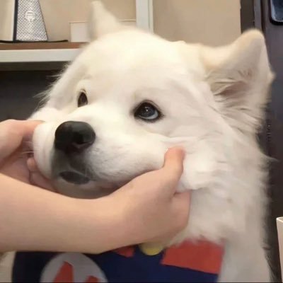𝘒𝘒 ˙Ⱉ˙'s profile picture