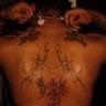 Stunnavegas profil fotoğrafı