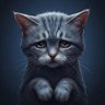 Dominik's profile picture