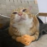 Profilbild von dydy
