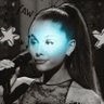 Фото профиля arianators wildin
