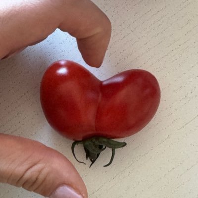 토마's profile picture