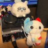 Garakuta's profile picture