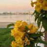 الواثق بالله … profil fotoğrafı