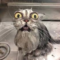 Eriton 𝕏's profile picture