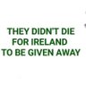 Irish Patriots wake up ็ๅคดๅ