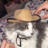 chesc's profile picture