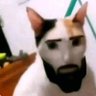 Mr. Green's profile picture