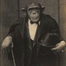Morador de Rua -AM profil fotoğrafı