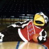 USI BASKETBALL #1 的头像