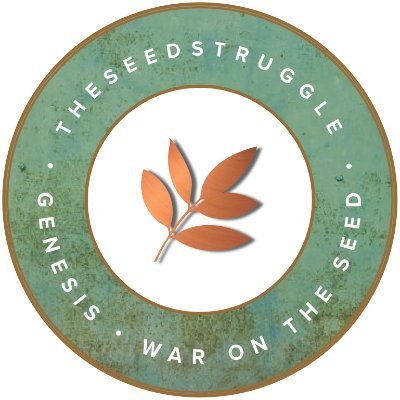 theseedstruggle's profile picture