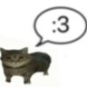 Dkshyutt profil fotoğrafı