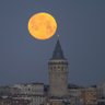 Фото профиля gecelerın yargıcı 34