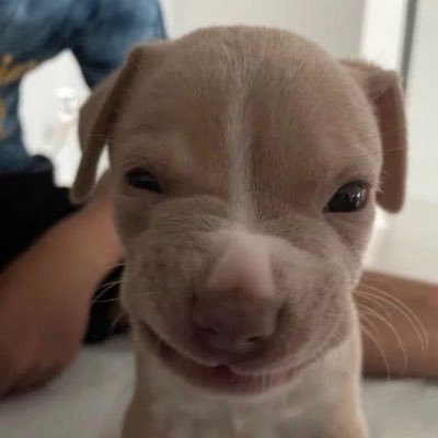 loirinha sep's profile picture