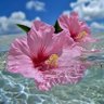 Фото профиля Karen Mitchell