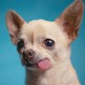 ministryoftruth2's profile picture