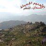 عبدالرحمن الثلايا's profile picture