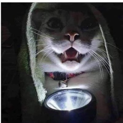 paem2525's profile picture