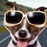 meifcool profil fotoğrafı
