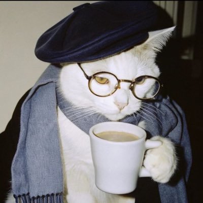 Shrimp Trillionaire's profile picture
