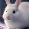 Фото профиля 🐇白うさぎ🥕
