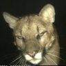 Andalucia's profile picture