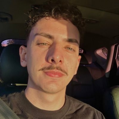 Vitor Denauรญ's profile picture