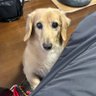 くまごろう 的头像