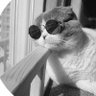 .'s profile picture