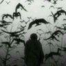 Profilbild von y