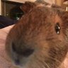 Tech's profile picture