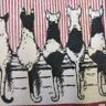 Profilbild von 猫まつお