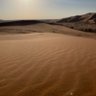 سرحان، اطال الله بقاءه profil fotoğrafı