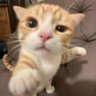 ส'ตาบ'บ (DOTHEE) profil fotoğrafı
