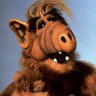 Alf Alfa 🇺🇸's profile picture