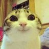 itsmefynn's profile picture